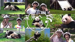 9.8K views · 1.7K reactions | 【CM映像公開～未来へ一歩～】 パンダの赤ちゃん「結浜(ゆいひん)」は大人に向かって一歩ずつ成長中！元気いっぱいの結浜にこの夏ぜひ会いにいらしてください♪ | アドベンチャーワールド（Adventure world） | Facebook