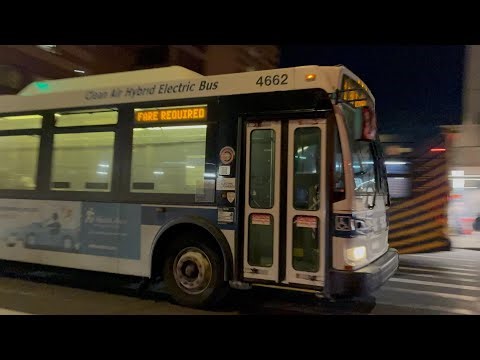ᴴᴰ MTA NYCT: 2010 Orion VII NG Hybrid #4662 on the Q31 Bus @ Jamaica Center.