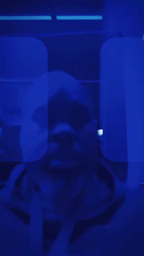 Exploring the Blue Bus of Cincinnati Metro