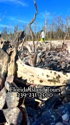 Florida Island Tours: Thalassophiles Delight懶239-231-2500 #floridaislandtours #solace #calming #marcoisland #hellomarco #sealover | Florida Island Tours | Facebook