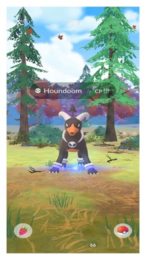 Hundo Houndoom | Hundo Houndoom Pokemon Go #pokemongosafarizone #pokémongo #houndoom #trending