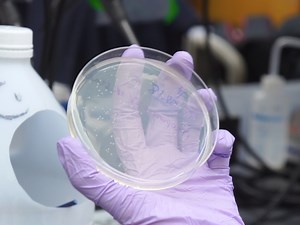 Adeno-Associated Virus-Mediated Delivery of CRISPR for Cardiac Gene Editing in Mice