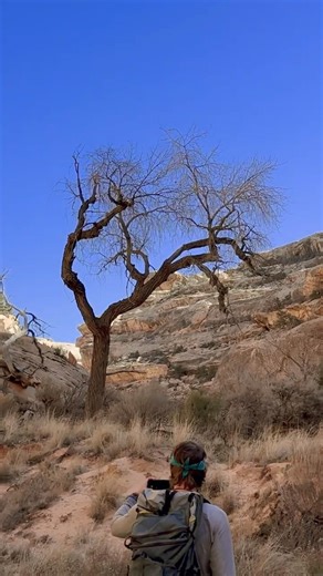 Alien Landscape #wildernesswanderer #mountains #desert