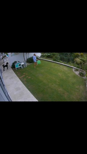 Hero of the week! Watch 📺with 🔊audio Girl Saves 🐹Guinea Pig from Huge Python 🐍Snake!Although 12 year old Rosie Wightman is not old enough to be a LEO she is our hero of the week saving her Guinea Pig from a huge python snake!Check out this video of her rescue. Recommend watching with audio. #12yroldsavesguineapigfromsnake#herooftheweek #supportlawenforcement #thinblueline | Support Law Enforcement