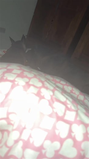 Karen Gill (@karengill3)’s videos with original sound - Rhonda B #Rockinsoundwaves