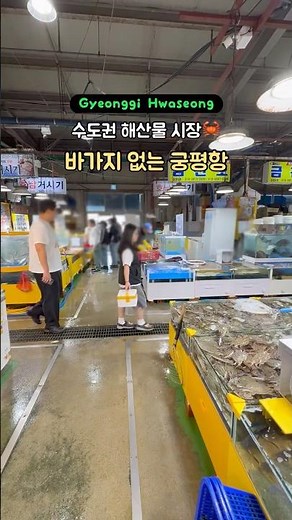 #궁평항 #궁평항수산시장 #궁평항대하 #화성시드라이브 #궁평항대하 #궁평항꽃게 #경기도드라이브 #화성호드라이브 #궁평항전어 #korea #koreatravel
