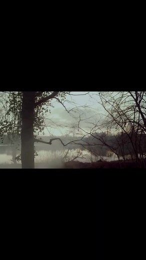 Je te dis tous - #mylenefarmer - Clip officiel #newmusic #jetedistous #clip #lyrics #mylene_farmer_daily #popmusic #recommendations #viral #pourtoi
