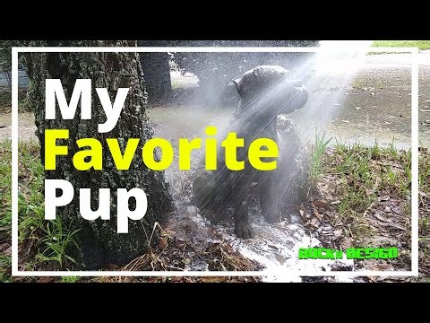 CONCRETE CLEANING NATURALLY Vinegar, Baking Soda, and Water.