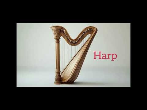 Musical Instruments | Kids Learning