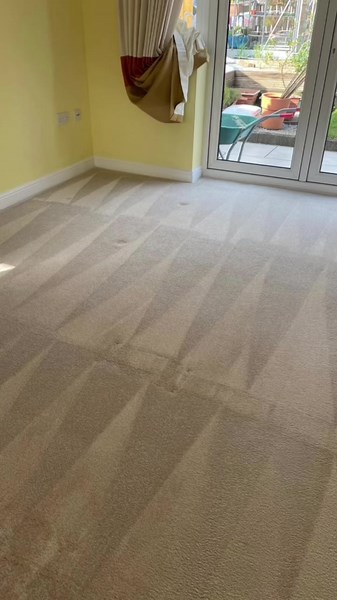 Carpet Clean Co on TikTok