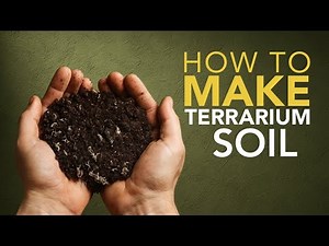 How to make terrarium soil for DIY beginners