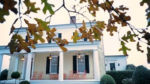 440 reactions · 46 shares | Deck the Halls with a tour of Moss Mountain Farm this Holiday season! Get in the Christmas spirit with a guided lunch tour, where you'll get to explore terraced gardens overlooking the Arkansas River, the English rose garden, and the ornamental one-acre vegetable garden. You'll also get a chance to tour my home and get a first look at my Holiday decor for the season! For dates and tickets, visit https://pallensmith.com/tours/ | P. Allen Smith | Facebook