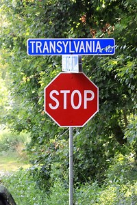 What's In a (Street) Name?