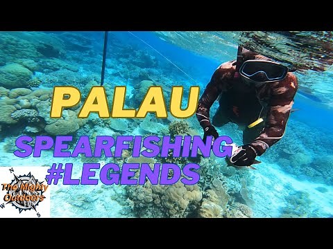 Sneak peek: Spearfishing Legends - highlights of a spearfishing trip with some of Palau's greatest