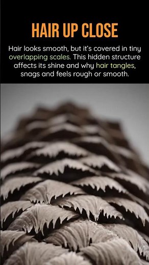 What Your Hair Actually Looks Like Up Close #science #shocking