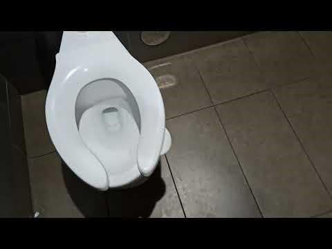 McDonald's Men's Restroom with Zurn and Toto Fixtures 