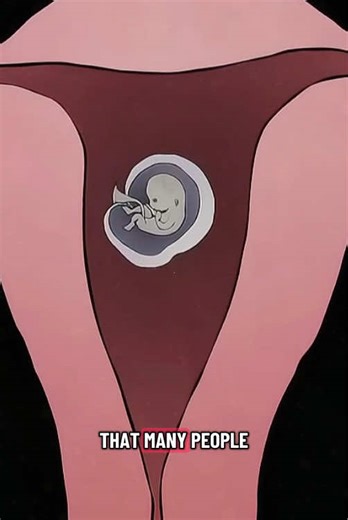 Understanding the Abortion Process Through 3D Animation