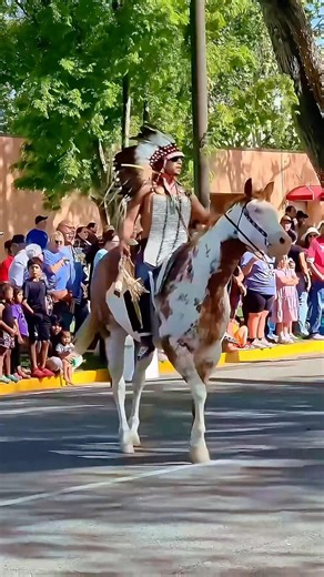 Gathering of Nations Powwow HorseParade 2026 #indigenous #powwow #horse #traditional #shorts