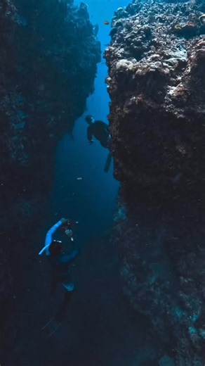 In the end Nui Samaesarn Snorkeling | Jason Freediver