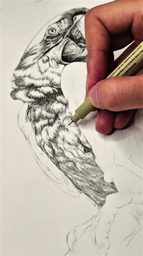 🖊 Fineliner Drawing | Bird Sketch with Thoughts in Between 🐦 #art #painting #drawing