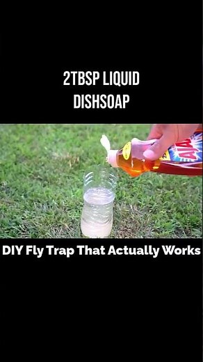 How to Get Rid of Flies Instantly (DIY Fly Trap)⚡️#flytrap #pestcontrol #viralshorts #homecleaning