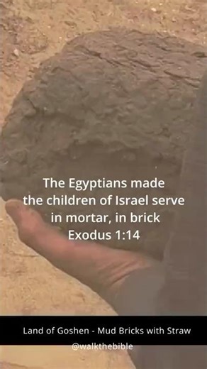 Straw in Egypt’s Bricks Did Hebrews Build Them Shocking Find