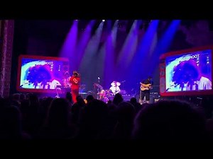 Ginger Root - Live in St. Paul - 2025 - Concert Clip