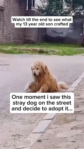 Every pet has a story to tell, and we’re here to capture it. Inspired by the joy of rescuing stray animals, we create custom portraits that celebrate the bond between pets and their humans. 🐾✨ #PetPortraits #CustomArt #AnimalRescue #PetLovers #DigitalArt #PetStories #DogMomLife #CatDad #PetArtwork #KindnessMatters