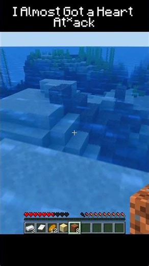 i forgot They swim now. #minecraft #minecraftshorts #memes #shorts