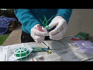 Réaliser des Arbres