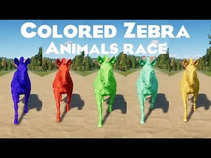 Colored Plains Zebra Animals Speed Races in Planet Zoo included Male and Female Plains Zebra
