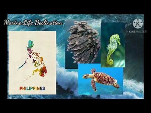 Top 5 Environmental Problems in the Philippines (by Ken Ruceff Huyong)