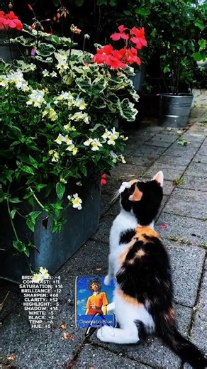 Cinematic Colour Grading Tutorial 💯