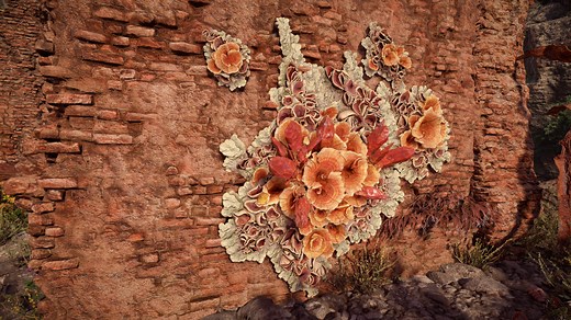 How to Destroy Red Anomalous Crystal Growths (Firegleam) - Horizon Forbidden West Guide - IGN