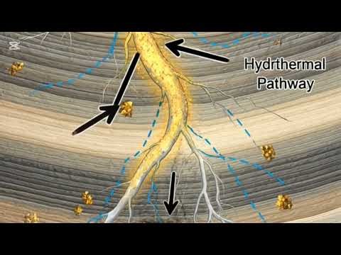 Hidden Gold Secrets: How Ancient Rivers Packed Millions in Placer Deposits!