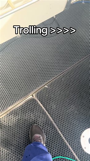 Trolling Techniques for a Great Fishing Experience