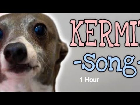 A Song For Kermit For 1 Hour By Day By Dave