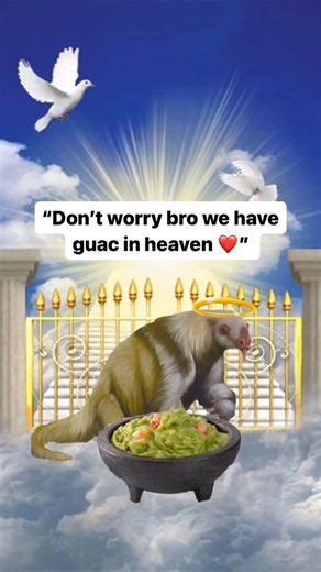 Zach O’Neill on Instagram: "While the ancient megafauna of the past may have progressively been doomed to the fossil record over the last tens of thousands of years, the effect they had on our planet is still visible, even today. For example, the next time you’re enjoying a nice avo-toast, be grateful to the prehistoric megafauna of South America that helped originally spread and propagate our favorite fleshy fruit. The large size of avocado seeds meant they couldn’t be spread by smaller animals