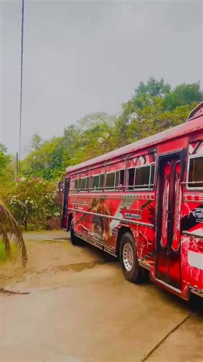 Relaunching💥 | Phoenix Pro Edition