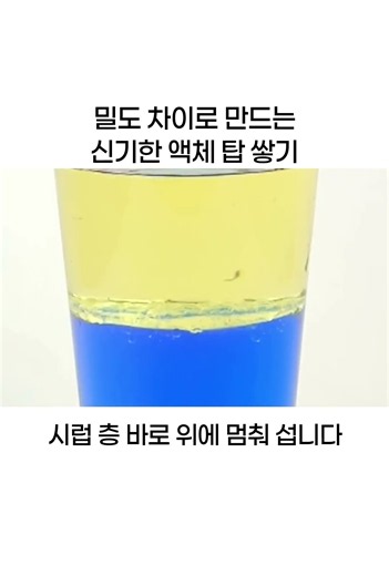 밀도 차이로 만드는 신기한 액체 탑 쌓기