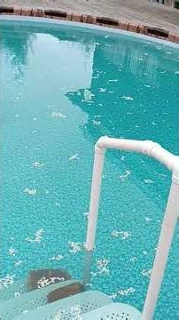 CLEAR POOL WATER for EARLY SPRING after WINTER STORAGE