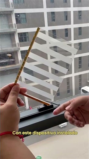 Day 14: Testing Out Amazon Gadgets I Can't Live Without