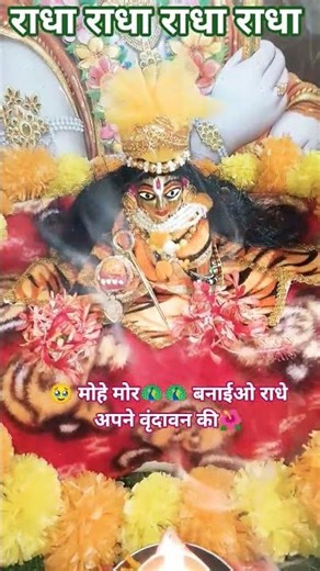 🦚 Mohe Mor Banaye Radha 😍 | Main Naach Naach Aapko Rijhaungi 💃✨