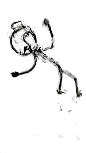 🤣😂😅#stickmananimation #anime #shorts #funny