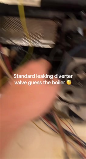 Guess the Boiler: Identifying a Leaking Diverter Valve