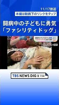 【闘病中の子ども支える“ファシリティドッグ”】国内まだ6頭 普及を阻む費用の壁…寄付を募り導入目指す兵庫の病院の取り組み【SDGs】｜TBS NEWS DIG #shorts
