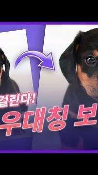 눈(얼굴) 좌우대칭 사진보정 방법!ㅣ포토샵 강의