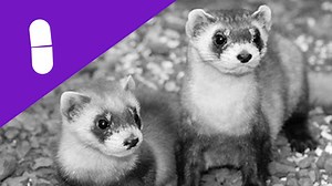 O sa las asta aici... Have a great weekend! -------------------- Review Mercedes Benz GLE450 AMG Coupé - https://goo.gl/FjYQXs Twitch live stream - https://www.twitch.tv/mikeyhash | Mihai Alexandru Hash