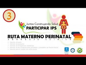 Resolution 3280 - Maternal Perinatal Pathway - Video 3
