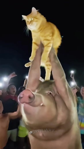 In that moment, he understood the meaning of life 😂 #fyp #funny #cat #lionking #party